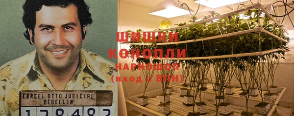 мдма Заводоуковск