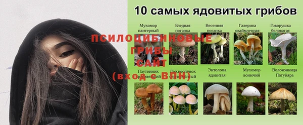 мдма Заводоуковск