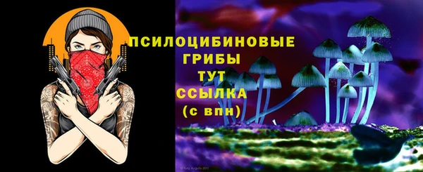 мдма Заводоуковск