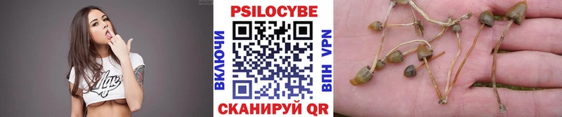 Псилоцибиновые грибы Magic Shrooms  Купить  Инсар 